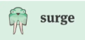 Surge logo — walrus icon and lowercase surge wordmark on mint green